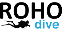 Learn to dive with Roho Dive School