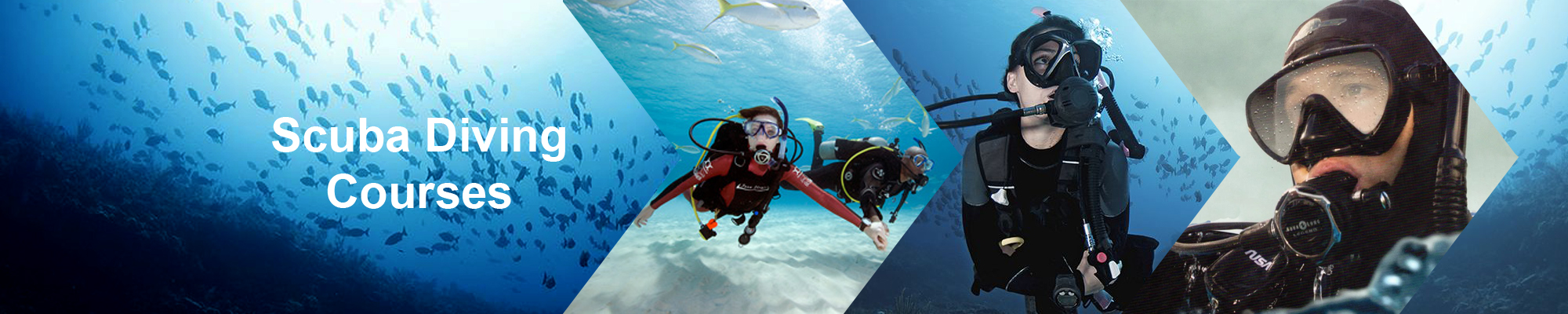 Entry Level PADI Scuba Courses