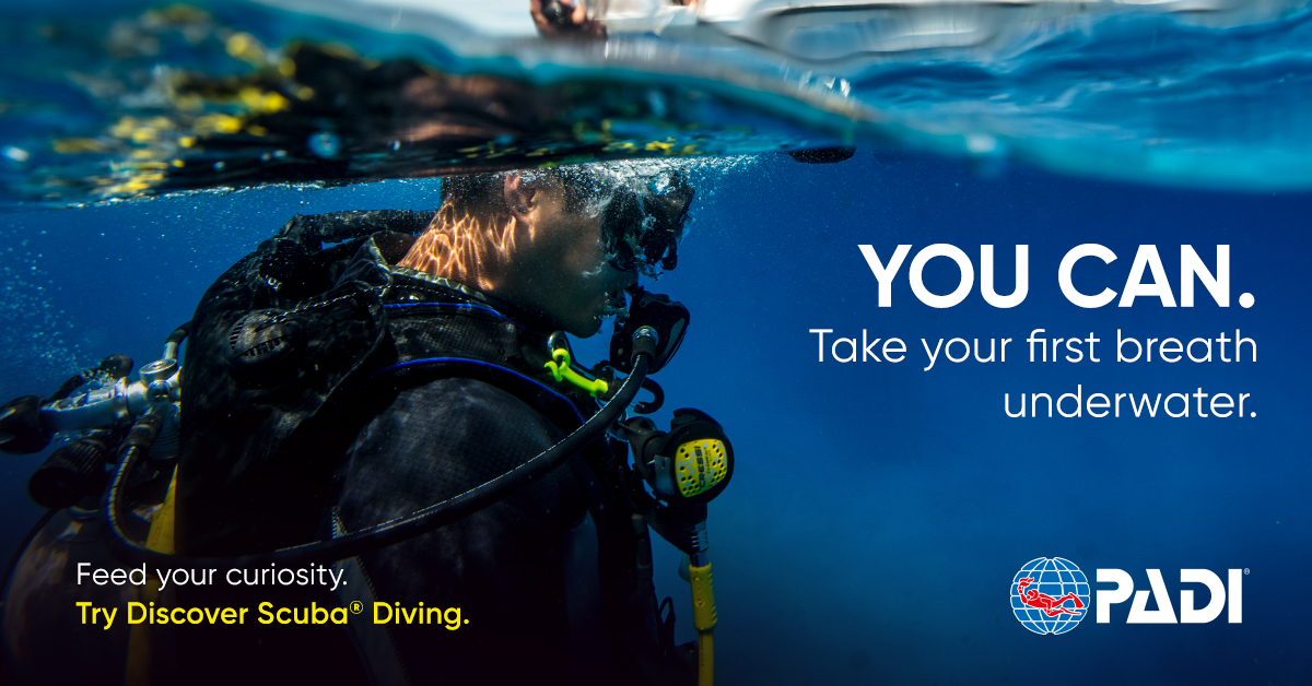 Try Scuba Diving - If you want to try scuba diving, but aren't quite ready to take the plunge into a certification course, the Try Scuba Courses are for you.