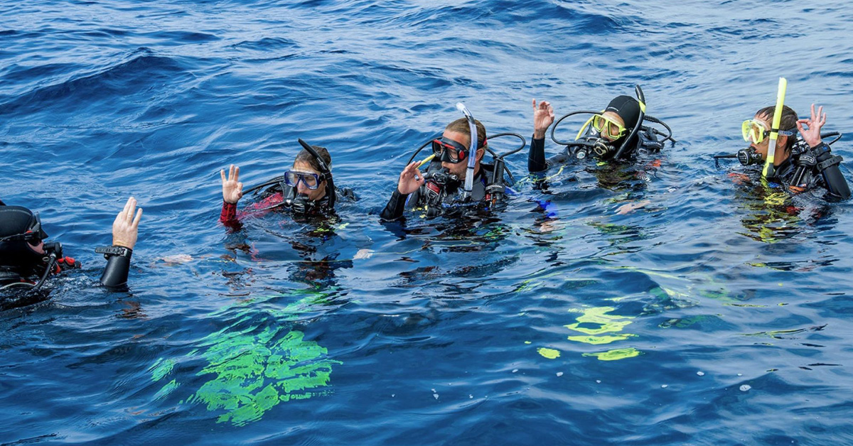 Professional dive courses