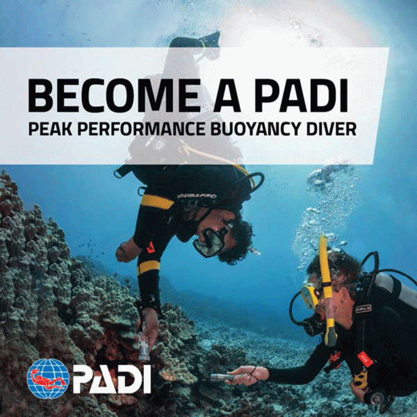 PADI Peak Performance Buoyancy Diver